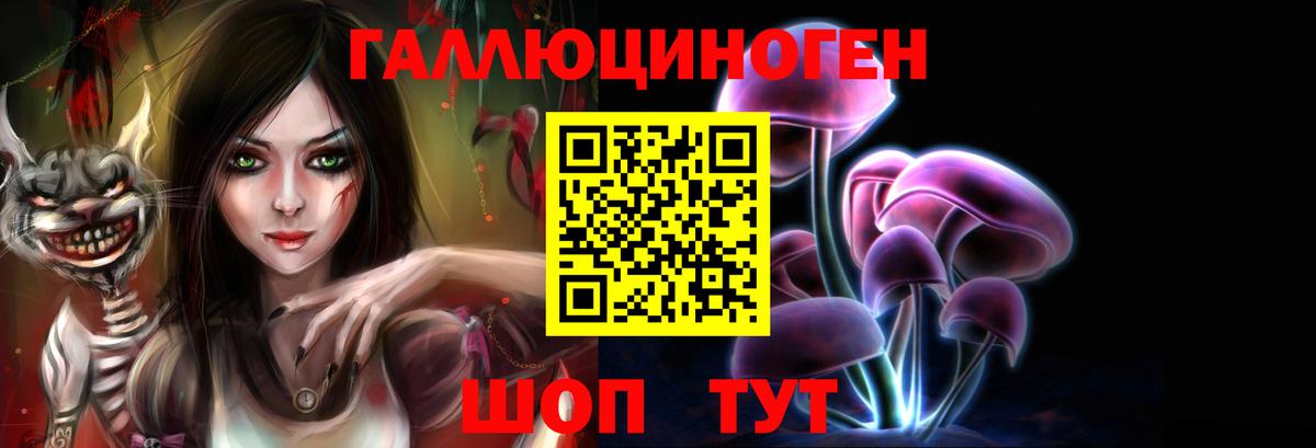 Псилоцибиновые грибы мицелий  что такое наркотик  Вход с VPN  Нижний Новгород  Псилоцибиновые грибы Magic Shrooms 